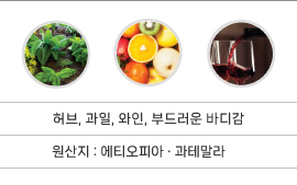 SS����Ŀ��_�����ΰ���